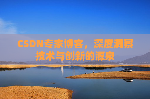 CSDN专家博客，深度洞察技术与创新的源泉